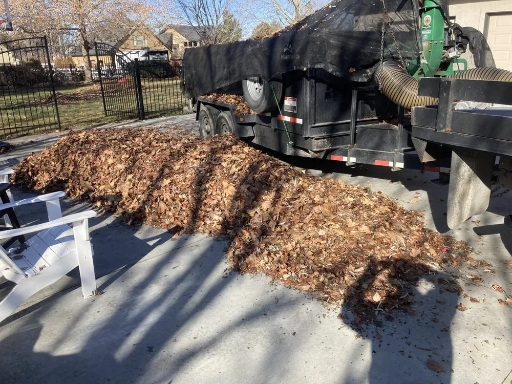 Top-rated lawn care service near you across Nampa, ID - Workman Tree and Landscaping