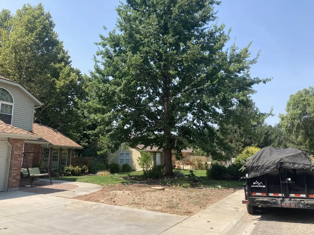 Reliable lawn care service experts serving Nampa, ID - Workman Tree and Landscaping