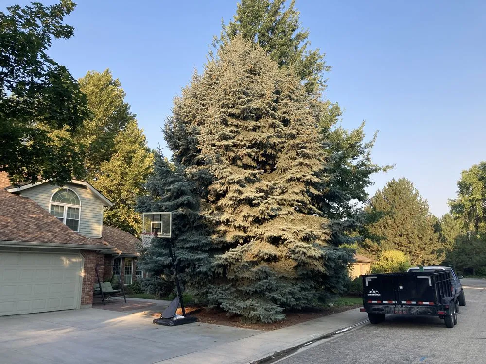 Reliable lawn mowing service for residential properties across Nampa, ID - Workman Tree and Landscaping