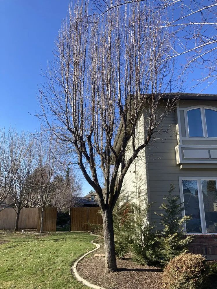 Affordable lawn mowing service experts serving Nampa, ID - Workman Tree and Landscaping