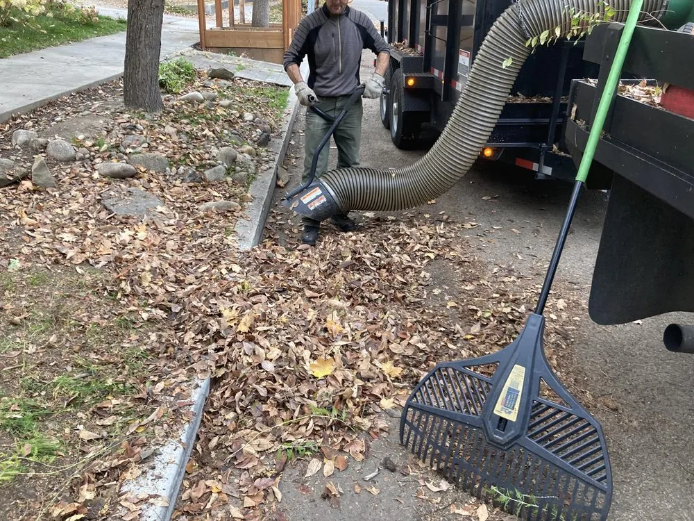 Local landscaping services for beautiful yards across Nampa, ID - Workman Tree and Landscaping