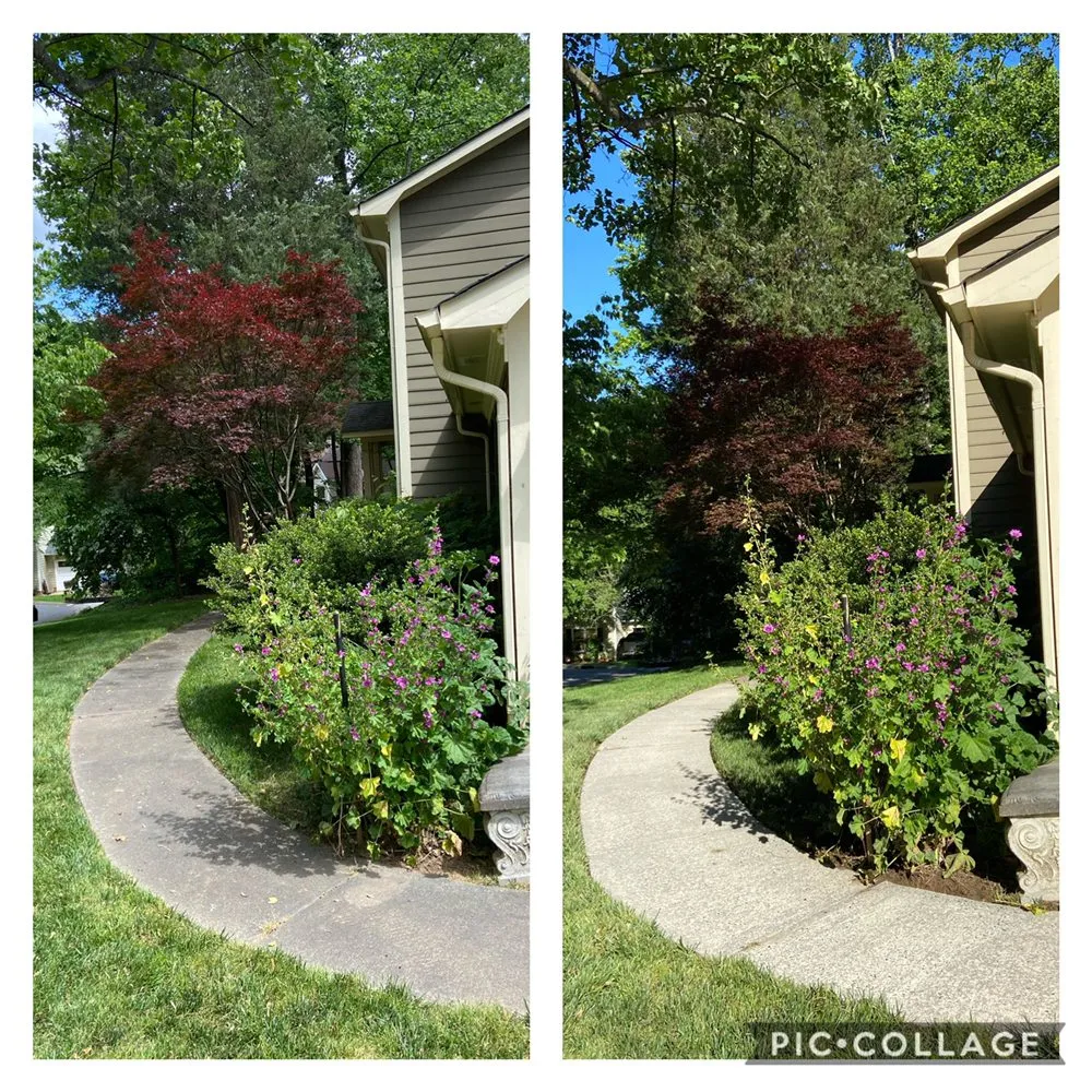 Top-rated lawn care service with custom design across Rock Hill, SC - Workman's Lawncare & Landscapes