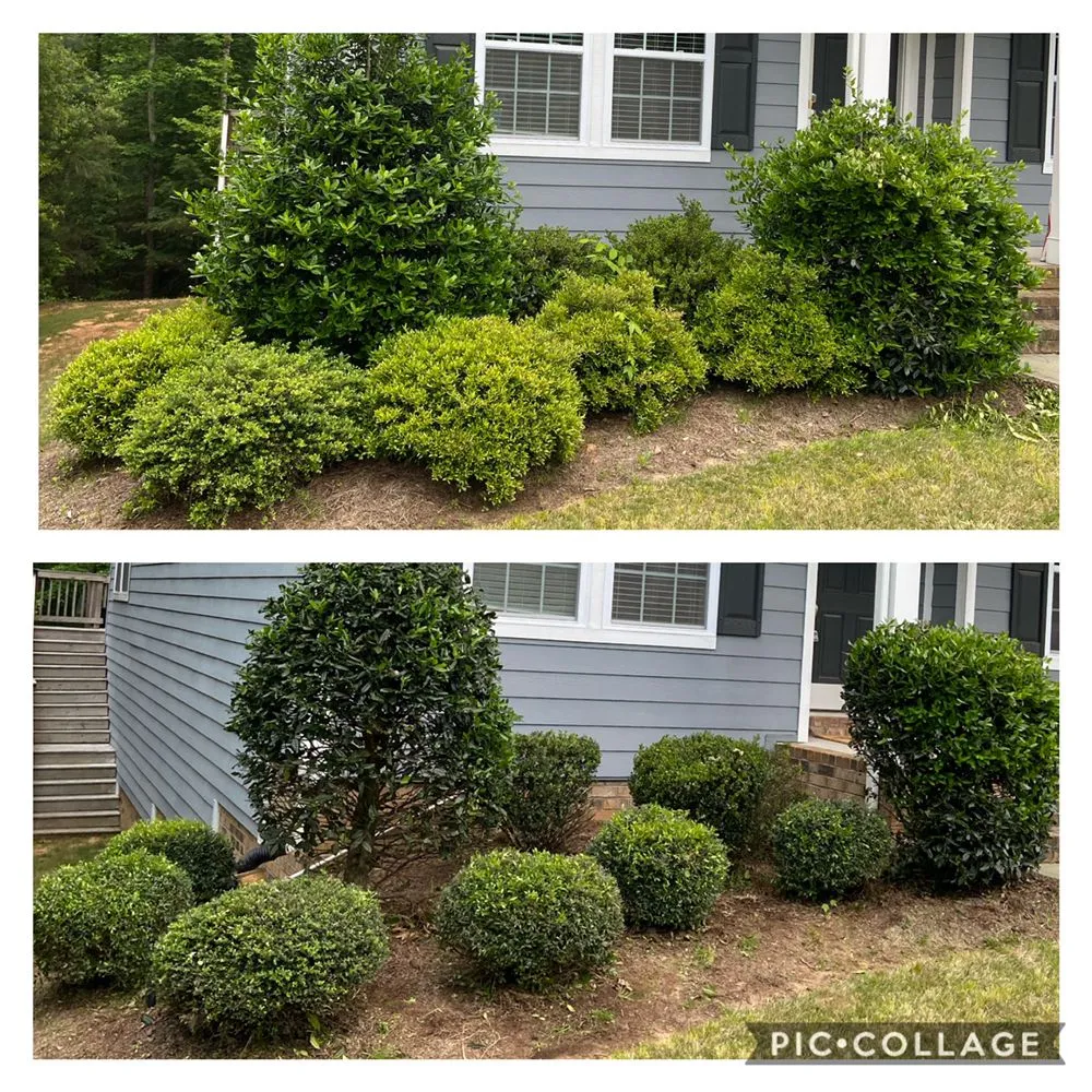 Affordable landscape installation in Rock Hill, SC - Workman's Lawncare & Landscapes