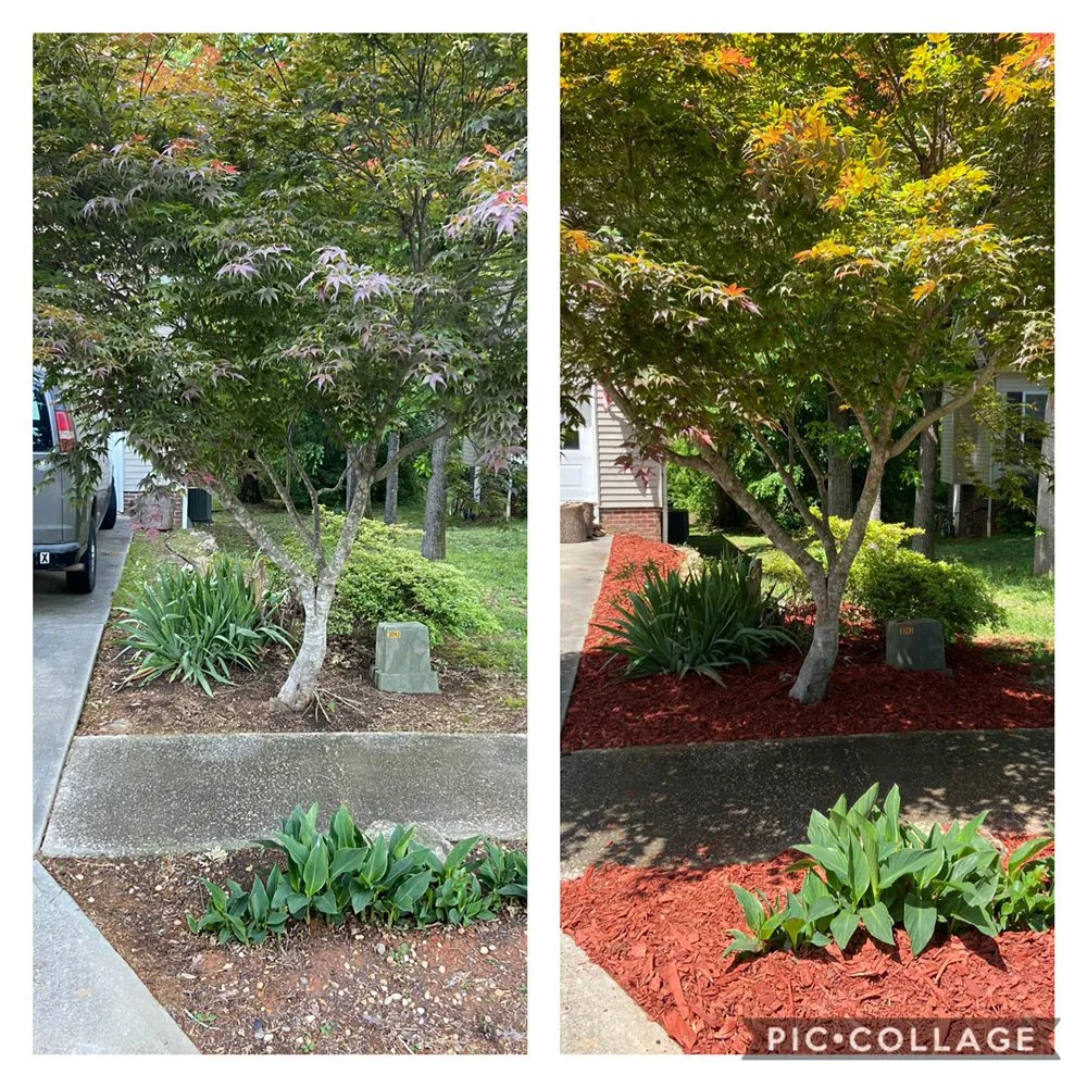 Professional yard cleanup service in Rock Hill, SC by Workman's Lawncare & Landscapes