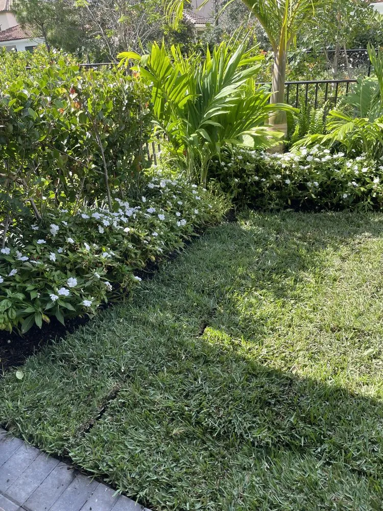Expert yard maintenance for outdoor upgrades across West Palm Beach, FL - Works Sod