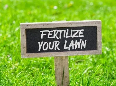 Expert yard maintenance in Freehold, NJ by World Class Lawns