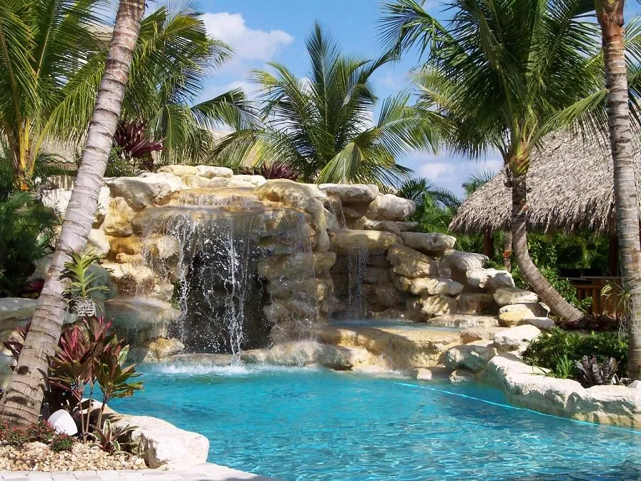 Professional yard cleanup service with custom design in Jupiter, FL by World Class Tree & Landscape Inc