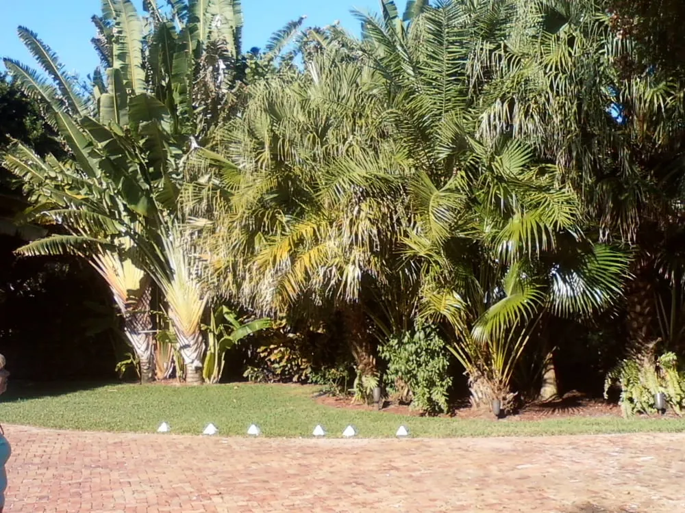 Affordable yard maintenance for year-round maintenance across Jupiter, FL - World Class Tree & Landscape Inc