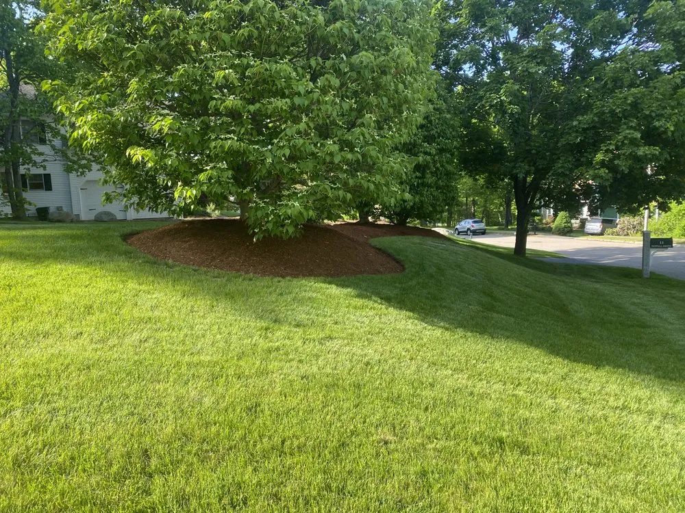 Custom yard cleanup service for outdoor upgrades in Framingham, MA by World Land Design