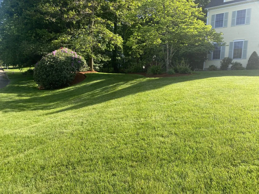 Top-rated landscaping services for homes across Framingham, MA - World Land Design