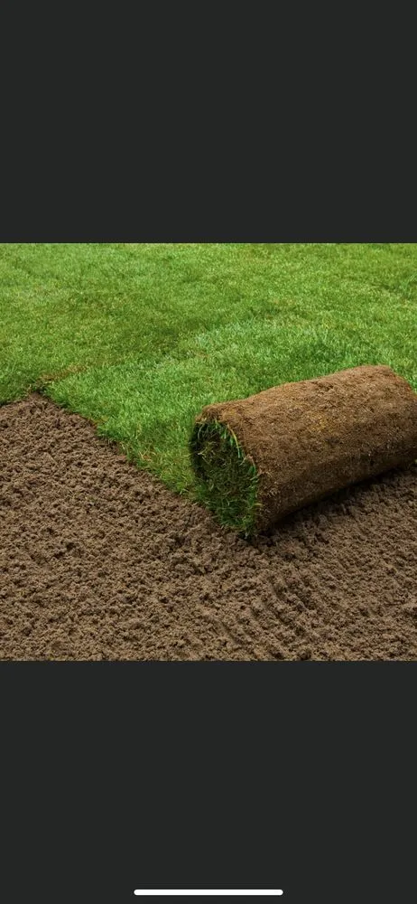 Custom outdoor landscaping for beautiful yards in Framingham, MA by World Land Design