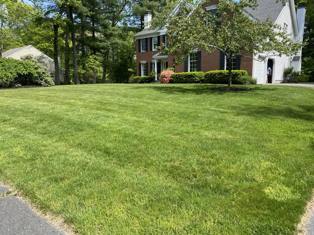Expert landscaping services in Framingham, MA - World Land Design