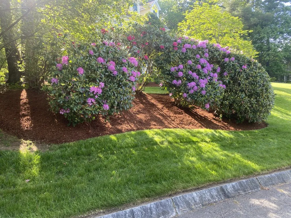 Custom residential landscaping experts serving Framingham, MA - World Land Design