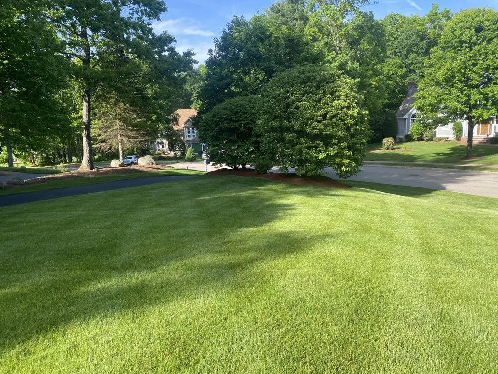 Local outdoor landscaping in Framingham, MA by World Land Design