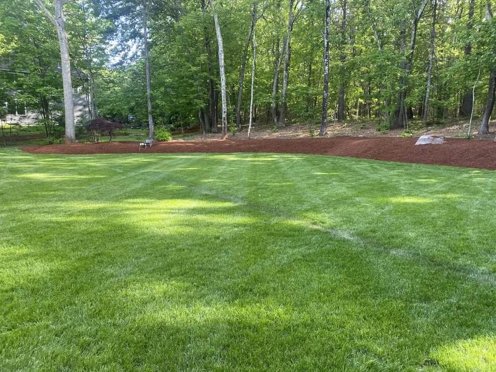 Reliable yard cleanup service in Framingham, MA by World Land Design
