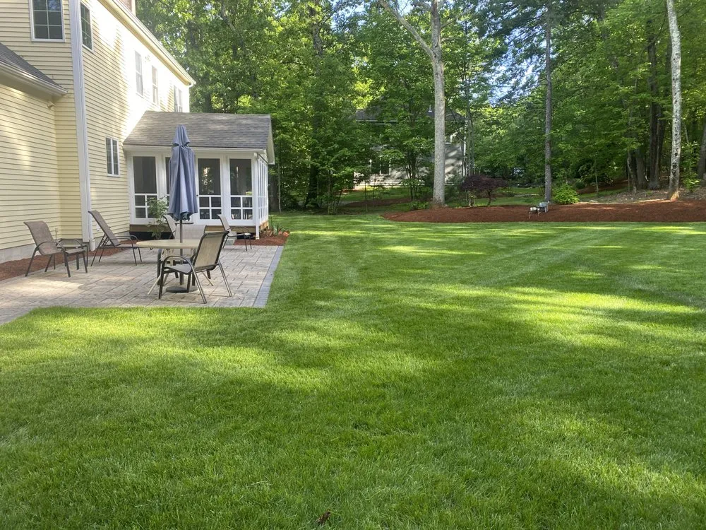 Local yard cleanup service for year-round maintenance across Framingham, MA - World Land Design