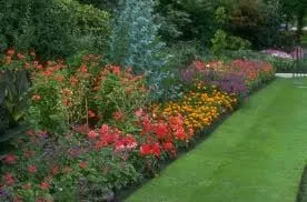 Top-rated yard maintenance in Dothan, AL - World of Service