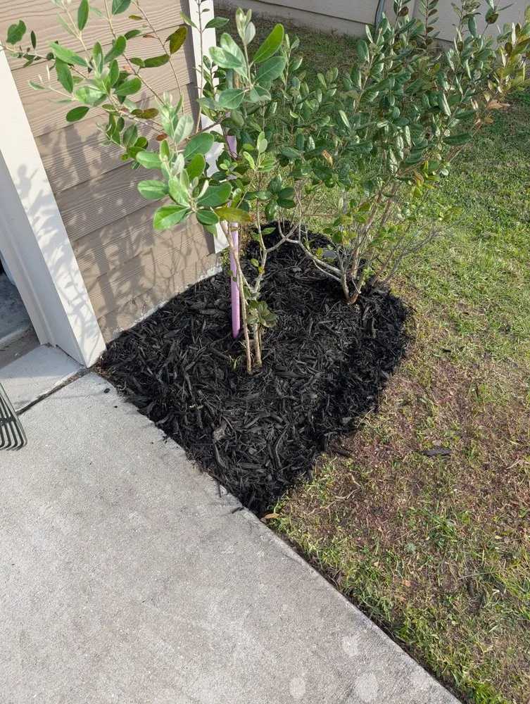 Trusted outdoor landscaping in Tampa Bay, FL - World Of Sod