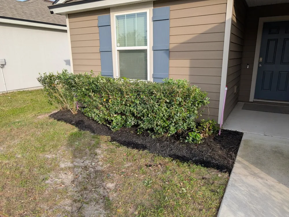 Expert lawn care service for outdoor upgrades in Tampa Bay, FL by World Of Sod