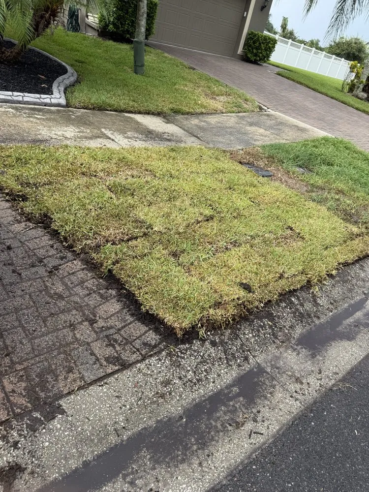 Top-rated residential landscaping in Tampa Bay, FL - World Of Sod