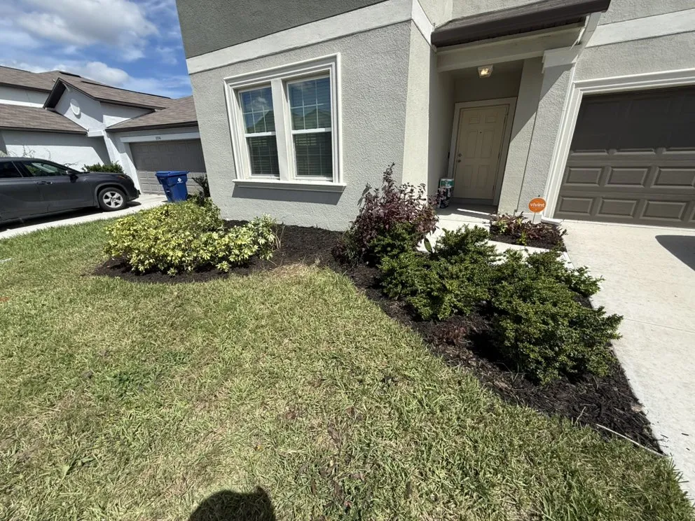 Custom yard maintenance for beautiful yards across Tampa Bay, FL - World Of Sod