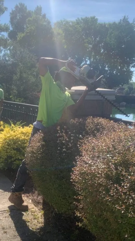 Affordable landscape design near you in Shreveport, LA by World Wide Landscaping