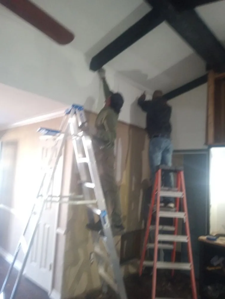 Reliable yard cleanup service for residential properties across Shreveport, LA - World Wide Landscaping