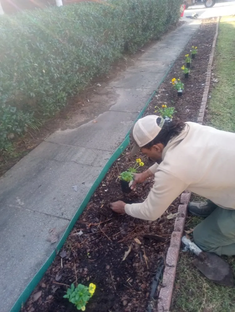 Reliable yard cleanup service for year-round maintenance across Shreveport, LA - World Wide Landscaping