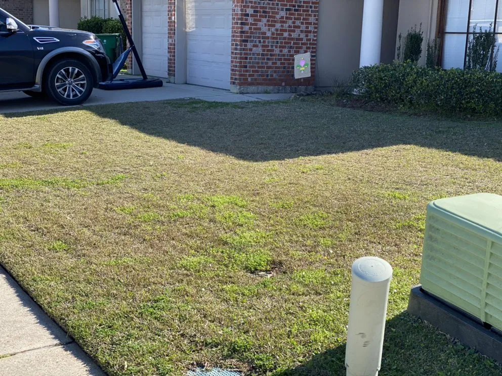 Expert yard cleanup service in Saint Rose, LA by Worlds Finest Cutts