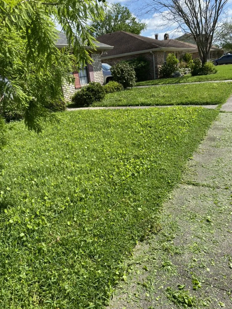 Reliable landscaping services experts serving Saint Rose, LA - Worlds Finest Cutts