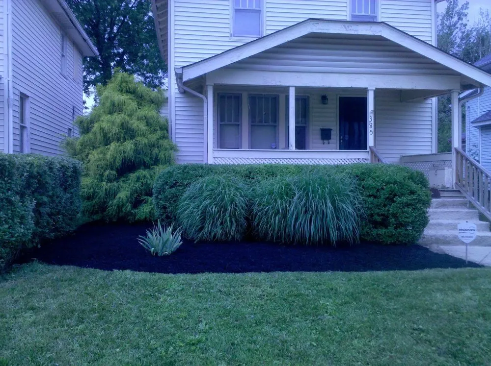Professional yard maintenance experts serving Columbus, OH - Worldwide Dust Bunni's