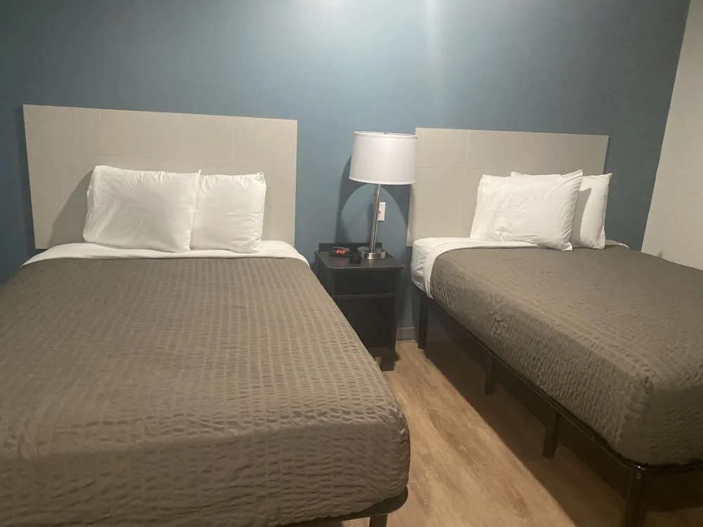 Local yard cleanup service for beautiful yards across Columbus, OH - Worldwide Dust Bunni's