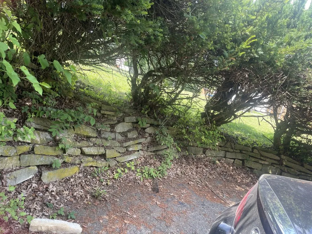 Top-rated landscape design in Columbus, OH by Worldwide Dust Bunni's