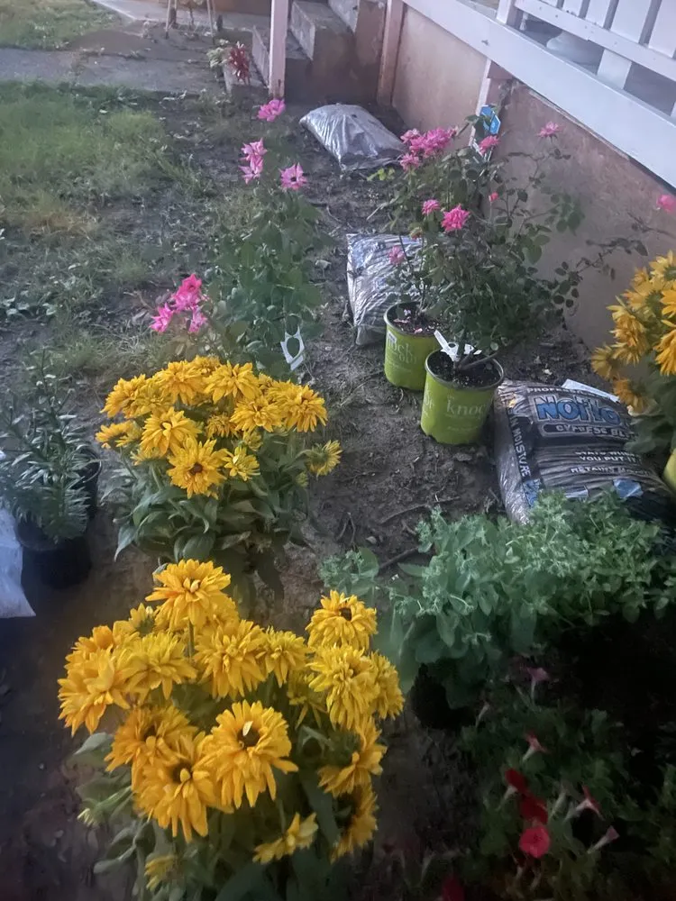 Affordable lawn mowing service in Columbus, OH - Worldwide Dust Bunni's