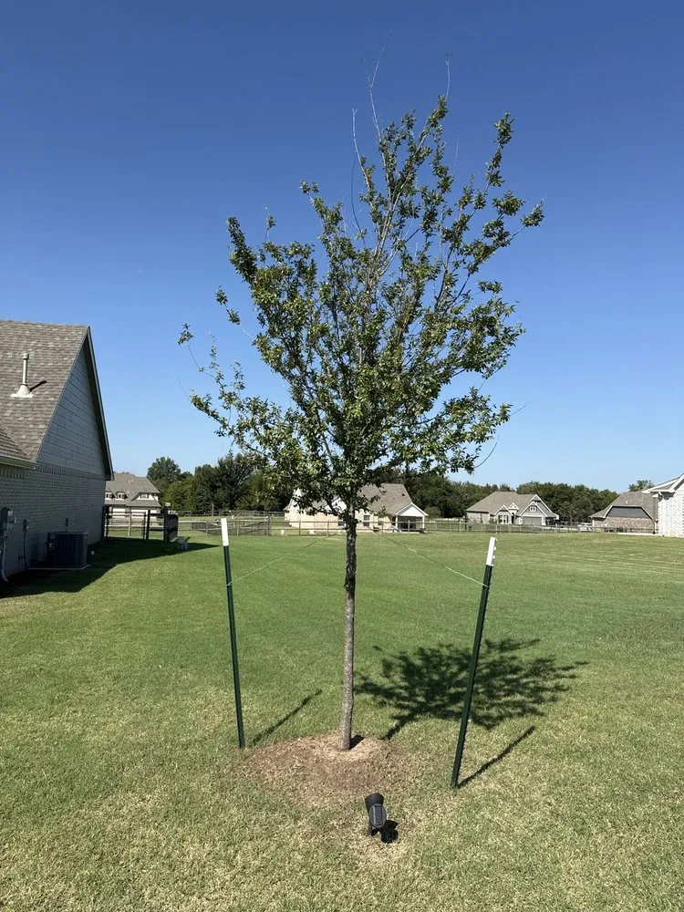 Custom landscape design experts serving Owasso, OK - Worley's Greenhouse & Nursery