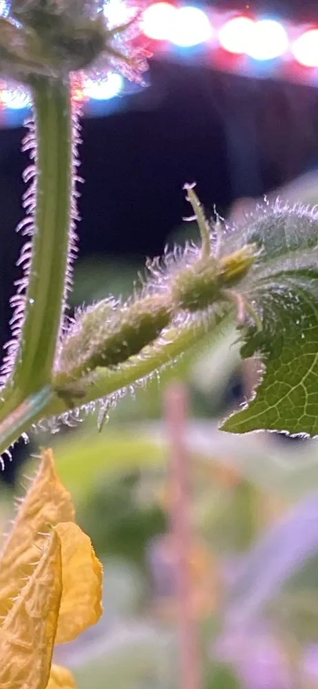 Expert outdoor landscaping for residential properties across Owasso, OK - Worley's Greenhouse & Nursery