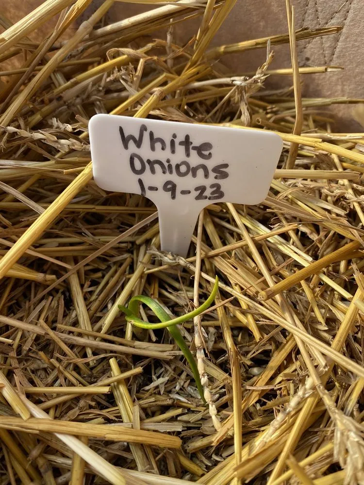 Affordable landscape installation experts serving Owasso, OK - Worley's Greenhouse & Nursery