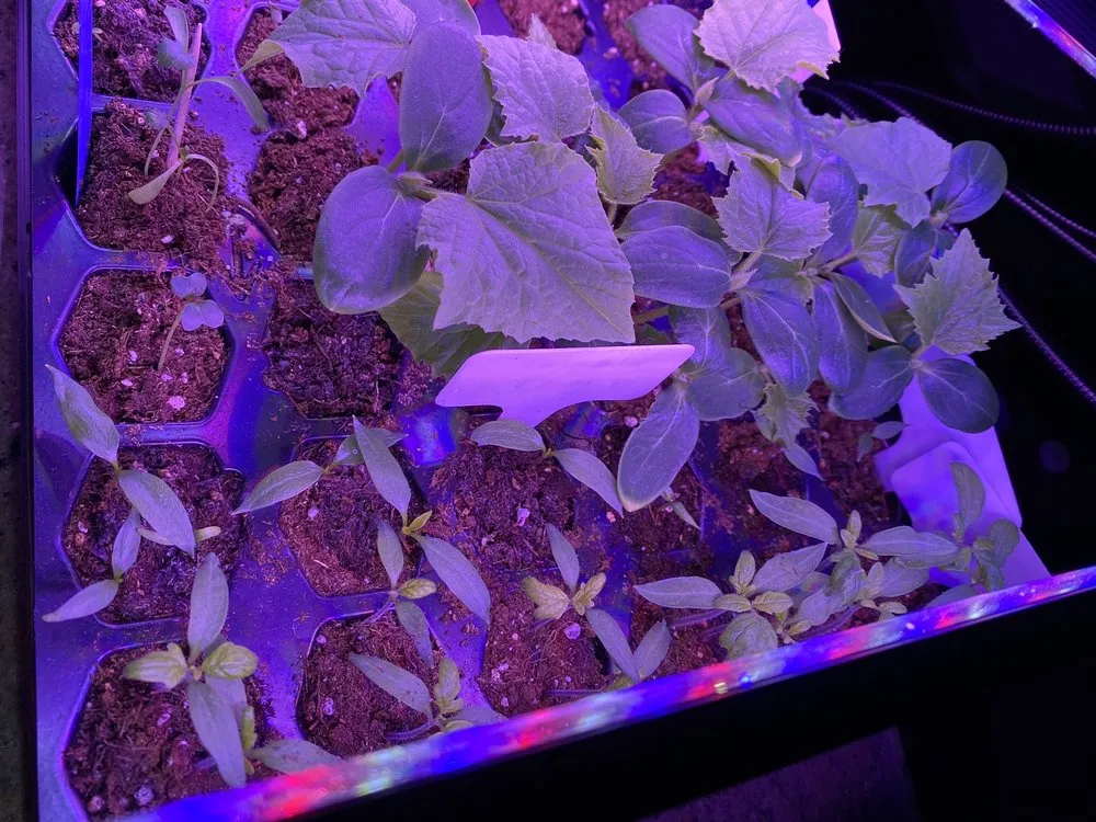 Reliable lawn mowing service for beautiful yards across Owasso, OK - Worley's Greenhouse & Nursery