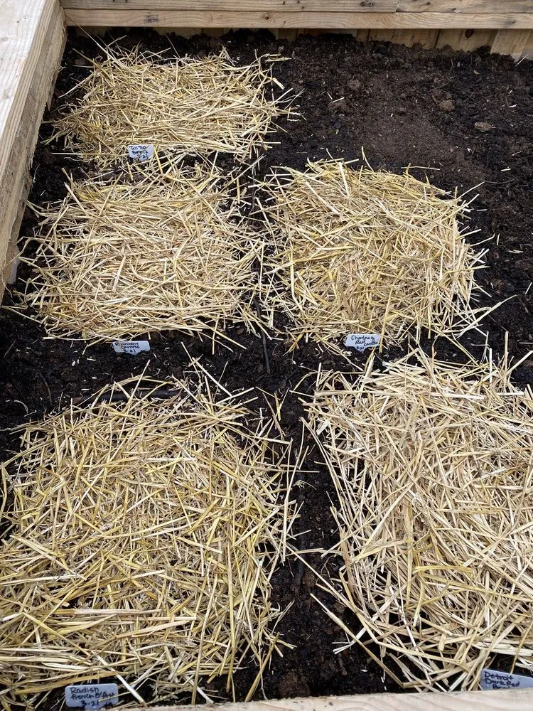 Affordable lawn mowing service experts serving Owasso, OK - Worley's Greenhouse & Nursery