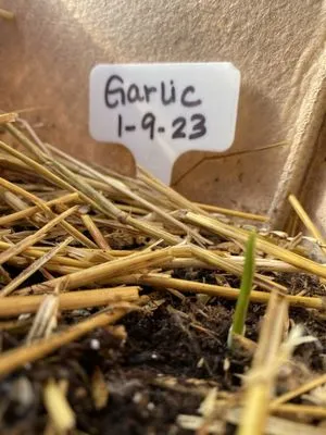 Worley's Greenhouse & Nursery