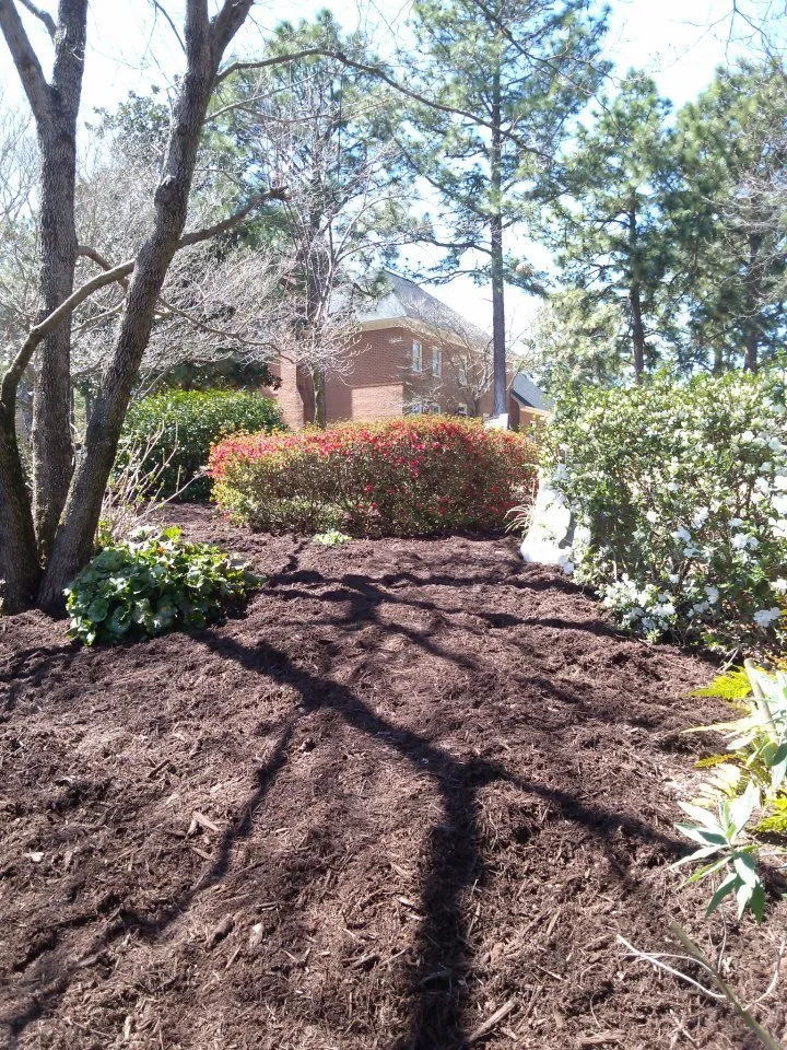 Custom outdoor landscaping for homes in Columbia, SC by Wormwood Landscaping