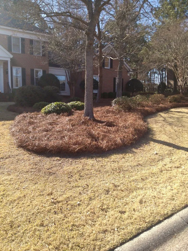 Reliable yard cleanup service experts serving Columbia, SC - Wormwood Landscaping