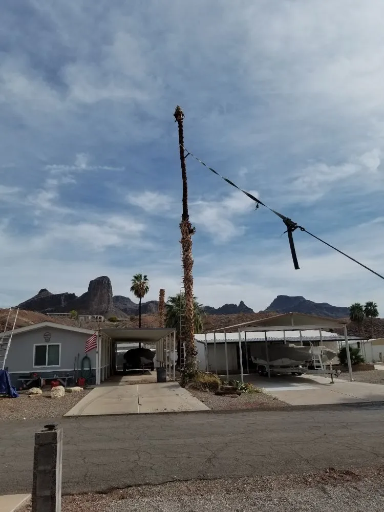 Local outdoor landscaping in Lake Havasu City, AZ by Worry Free Landscaping