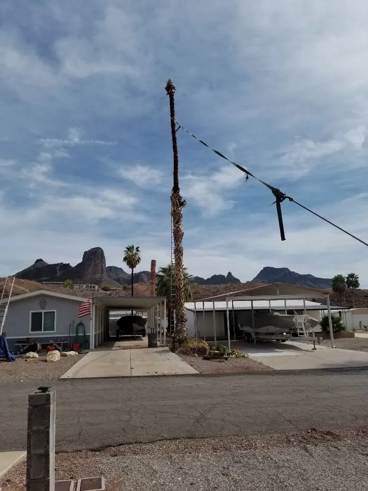 Custom lawn care service in Lake Havasu City, AZ - Worry Free Landscaping