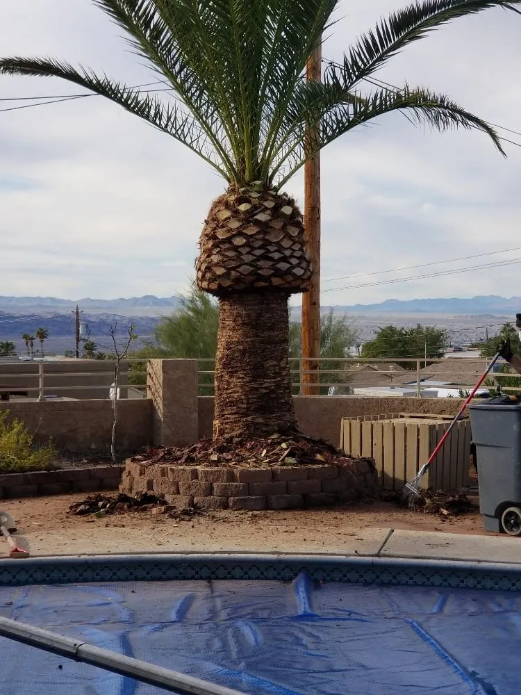 Professional landscape design in Lake Havasu City, AZ by Worry Free Landscaping