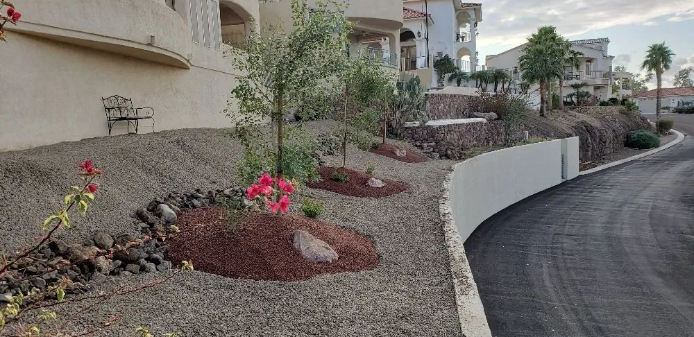 Professional landscaping services in Lake Havasu City, AZ by Worry Free Landscaping