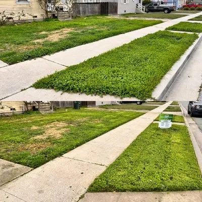 Worry Free Landscaping Logo