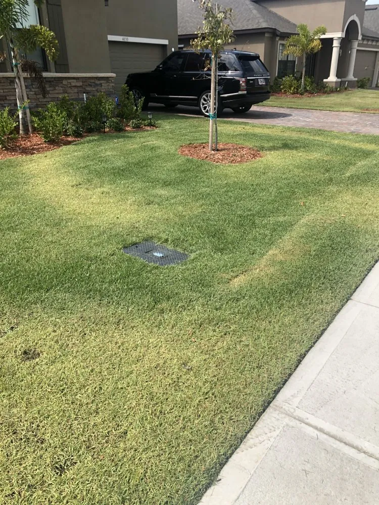 Top-rated garden landscaping for beautiful yards across Palm Bay, FL - Worry No Mow