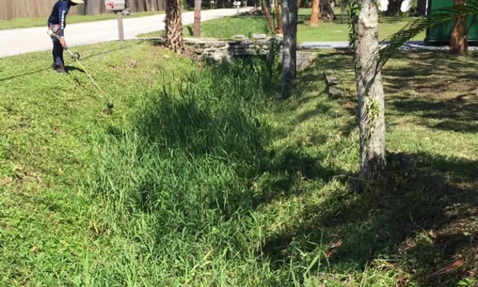 Trusted landscape installation for outdoor upgrades in Palm Bay, FL by Worry No Mow