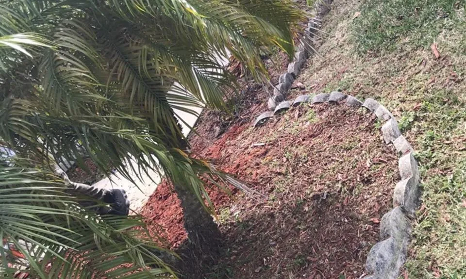 Custom residential landscaping for outdoor upgrades in Palm Bay, FL by Worry No Mow